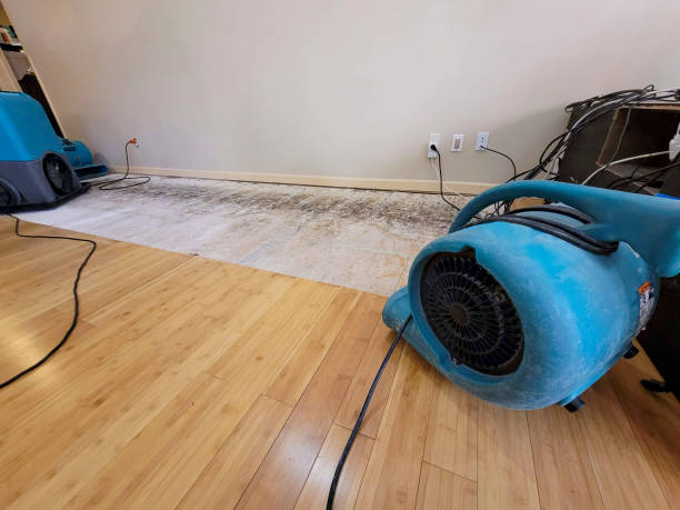 Professional Flood Damage Cleanup technician working in Stratham, NH